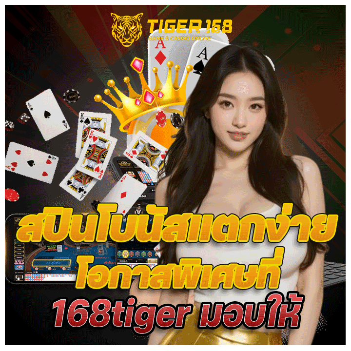 สปินโบนัสแตกง่าย