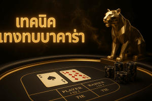 เทคนิค แทงทบบาคาร่า